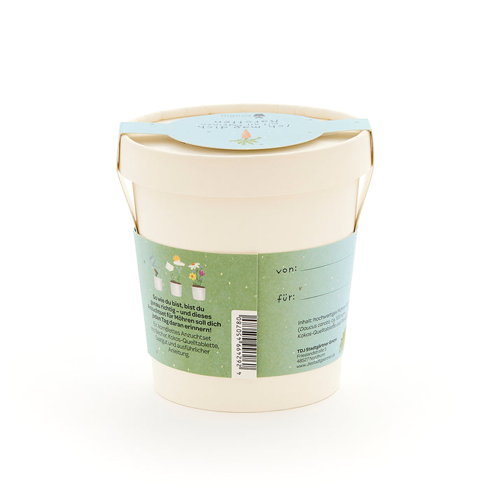 Parte posterior del kit de cultivo de zanahorias