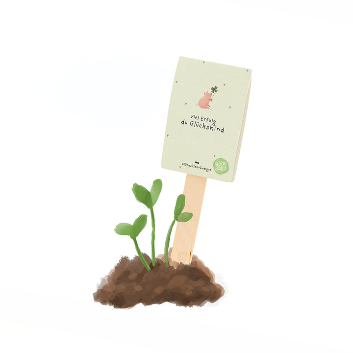 Una pequeña planta crece del suelo y junto a ella hay un cartel que dice: “Buena suerte, niño afortunado”.