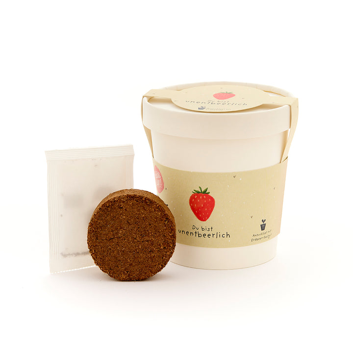 Maceta blanca con motivo de fresa, junto a ella una pastilla de tierra marrón y una pequeña bolsa blanca.