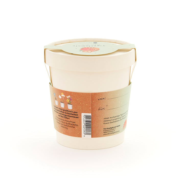 Maceta beige con banderín decorativo y espacio para etiqueta "de" y "para", sobre fondo blanco.