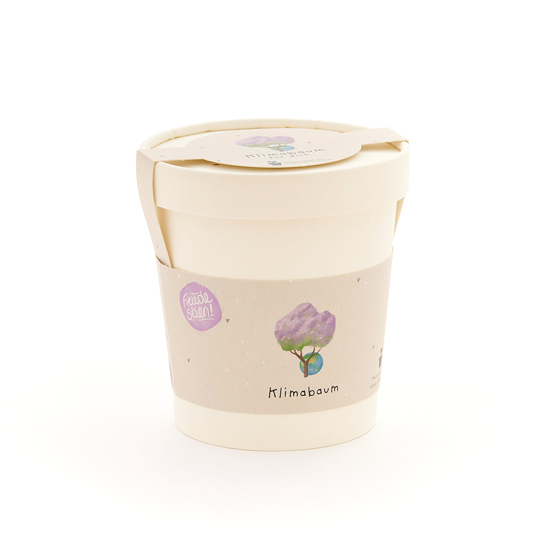 Maceta beige con una etiqueta que muestra un árbol dibujado y las palabras “Árbol del clima”.