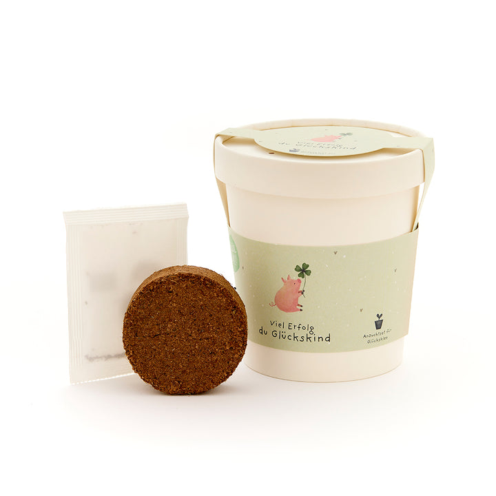 Juego de plantación con taza, tierra y paquete de semillas, en la taza un cerdo con una hoja de trébol y las palabras "Buena suerte, niño afortunado".