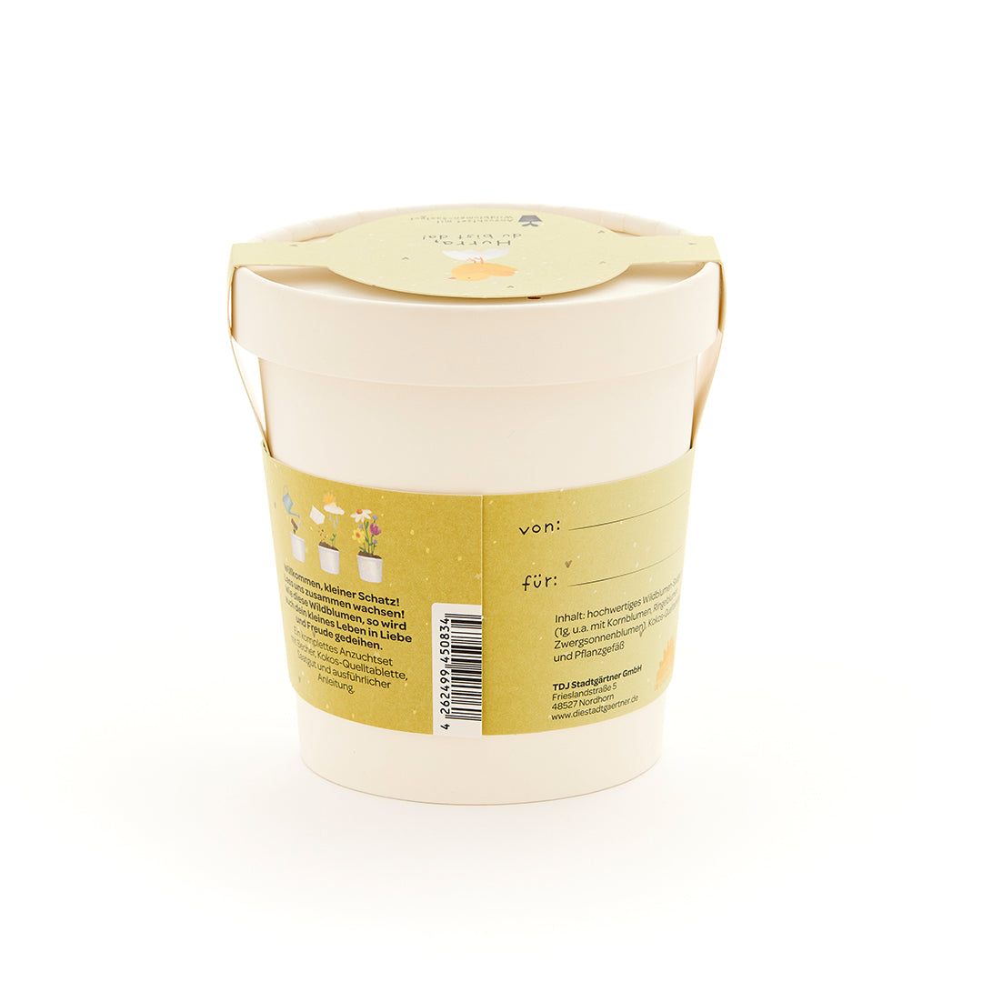 Maceta beige con etiqueta e inscripción amarillas, set de regalo para el cultivo de plantas.