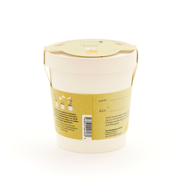 Maceta beige con etiqueta e inscripción amarillas, set de regalo para el cultivo de plantas.