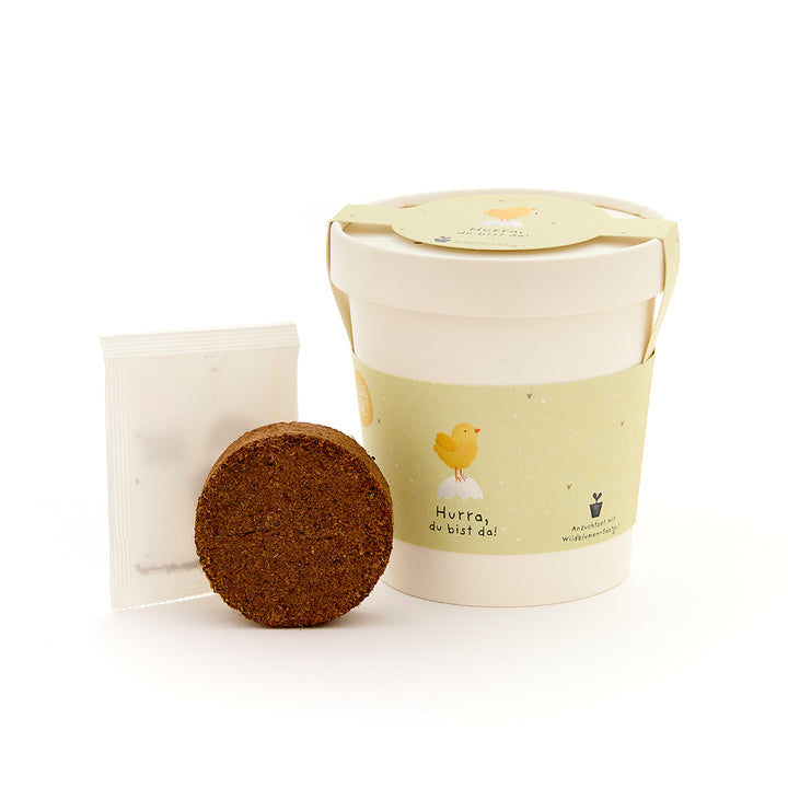Set de plantación con vaso, tierra y paquete de semillas, vaso con etiqueta verde y pollito amarillo y la inscripción "¡Hurra, estás aquí!".