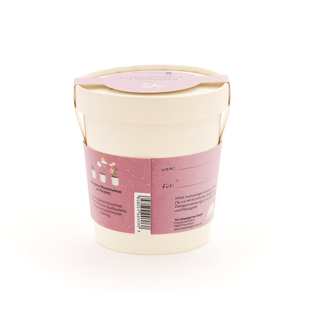 Maceta beige con etiqueta rosa que contiene información y espacio para “desde” y “para”.