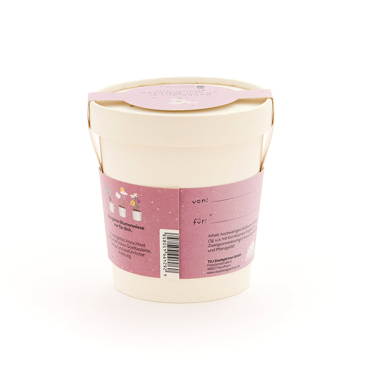 Maceta beige con etiqueta rosa que contiene información y espacio para “desde” y “para”.