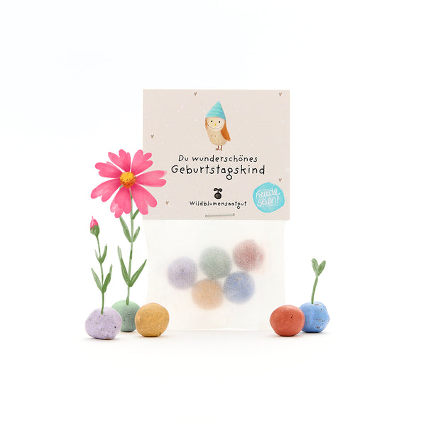 Bolsa de bolas de semillas de colores, una etiqueta que dice “Hermosa cumpleañera” y una flor rosa.