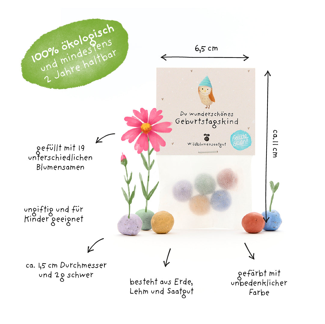 Bolsa de bolas de semillas redondas y coloridas rellenas de semillas de flores silvestres, etiquetadas con información sobre tamaño, material y sostenibilidad; respetuosas con el medio ambiente y aptas para niños.