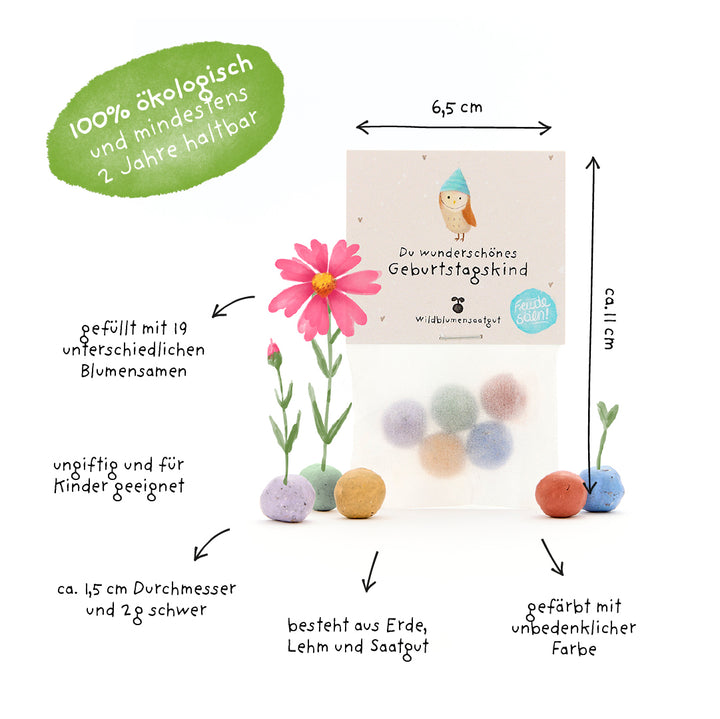Bolsa de bolas de semillas redondas y coloridas rellenas de semillas de flores silvestres, etiquetadas con información sobre tamaño, material y sostenibilidad; respetuosas con el medio ambiente y aptas para niños.