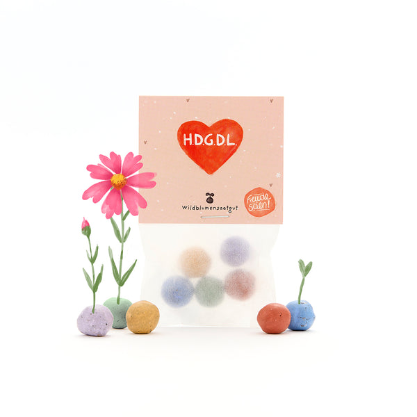 Bolsa de bolas de semillas de colores, junto a semillas en floración y germinación, empaque con un corazón rojo y la inscripción "H.D.G.D.L." y "Wildflower Seeds".