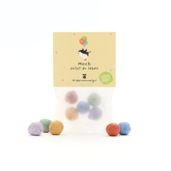 Bolsa de bolas de semillas de colores con una etiqueta que muestra un pingüino volador sosteniendo globos y el texto “Larga vida a las semillas de flores silvestres”.