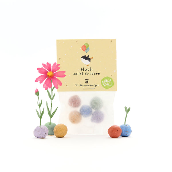 Paquete de bolas de semillas de colores, semillas de flores silvestres, junto a una flor rosa en flor y plántulas, etiquetadas en alemán.