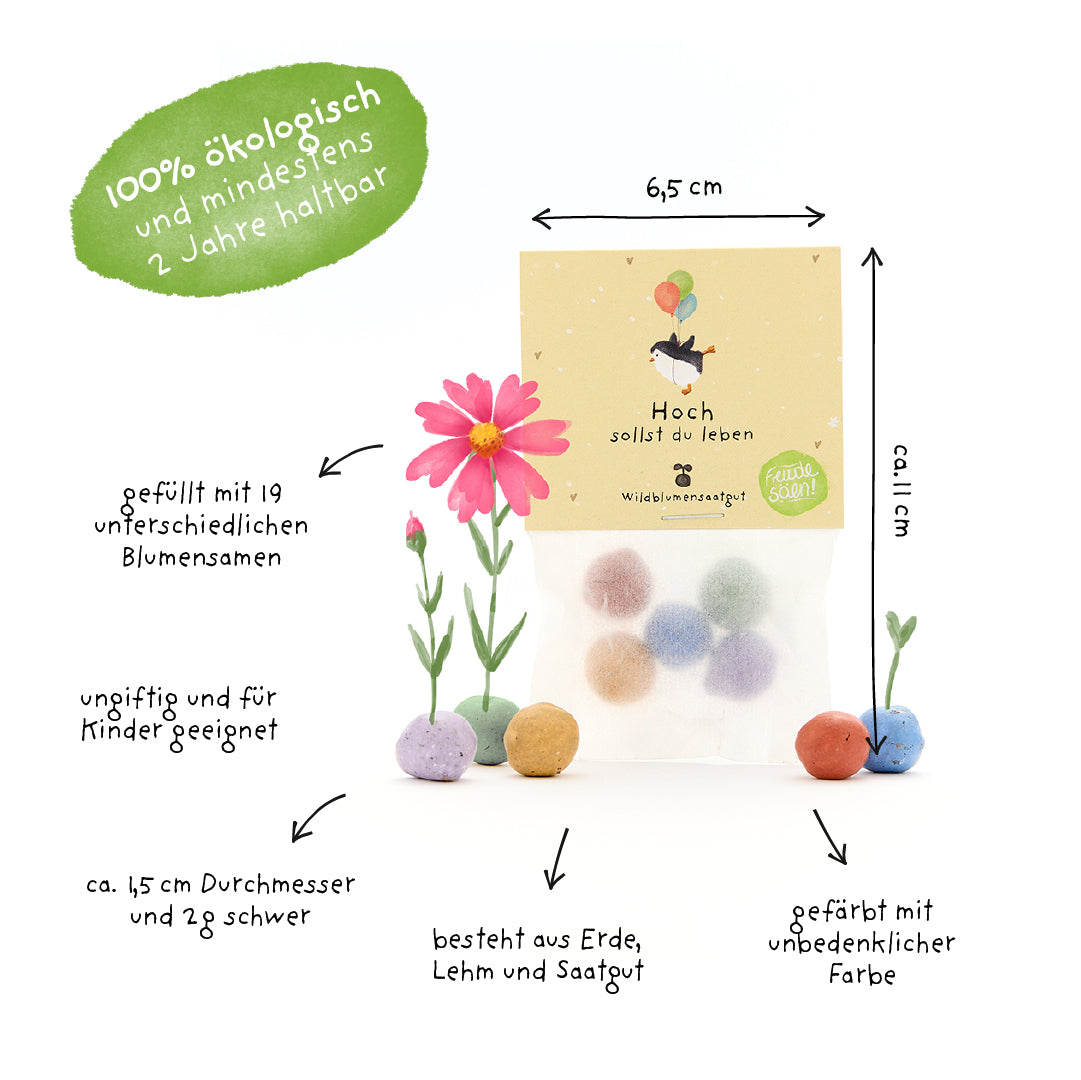 Envase que contiene bolitas de semillas de colores hechas de tierra, arcilla y semillas, rodeadas de etiquetas que indican tamaño, materiales y propiedades; 100% ecológico, no tóxico y relleno con 19 semillas de flores diferentes.