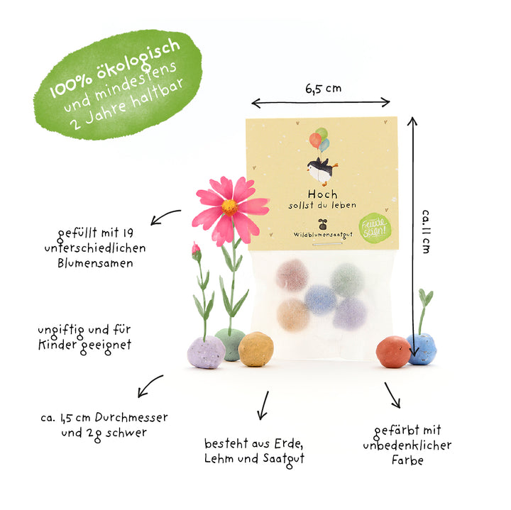 Envase que contiene bolitas de semillas de colores hechas de tierra, arcilla y semillas, rodeadas de etiquetas que indican tamaño, materiales y propiedades; 100% ecológico, no tóxico y relleno con 19 semillas de flores diferentes.