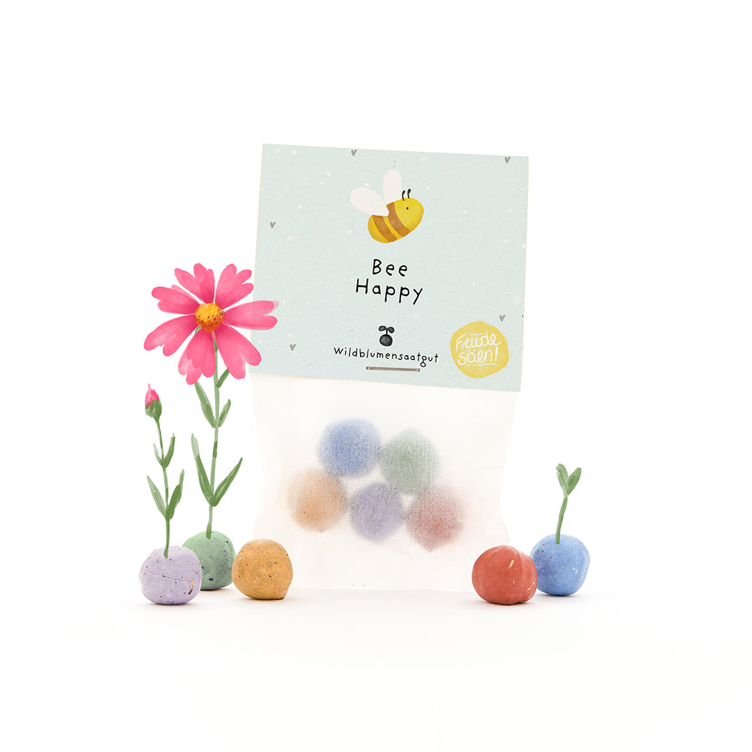 Bolsa con bombas de semillas de colores, algunas pequeñas plantas con flores y una tarjeta con las palabras "Bee Happy" y un dibujo de una abeja.