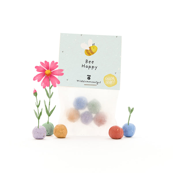 Bolsa con bombas de semillas de colores, algunas pequeñas plantas con flores y una tarjeta con las palabras "Bee Happy" y un dibujo de una abeja.