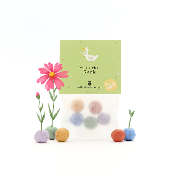 Bolsa con bolas de semillas de colores, etiqueta verde con ganso y texto "Muchas gracias, Ganso", junto a flores floreciendo y germinando.