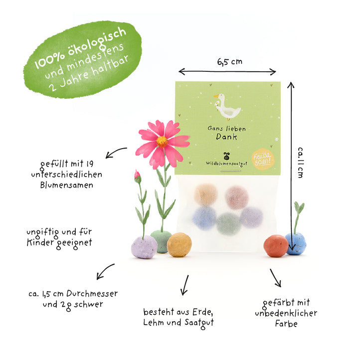 Bolsa de bolas de semillas de colores, etiquetada con información en alemán sobre el tamaño, contenido (19 semillas de flores diferentes), colores no tóxicos, producción ecológica y aptitud para niños.