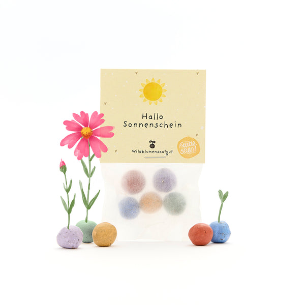 Una bolsa de bolas de semillas de colores etiquetadas como "Hola sol" con flores floreciendo y germinando al lado.