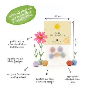 Embalaje con bolas de semillas de colores, junto a plantas dibujadas a mano y textos explicativos en alemán sobre propiedades como orgánico, no tóxico, relleno con 19 semillas de flores y tamaño de las bolas de semillas.