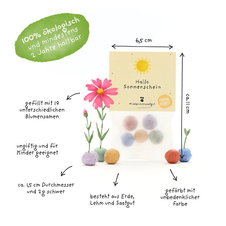 Embalaje con bolas de semillas de colores, junto a plantas dibujadas a mano y textos explicativos en alemán sobre propiedades como orgánico, no tóxico, relleno con 19 semillas de flores y tamaño de las bolas de semillas.