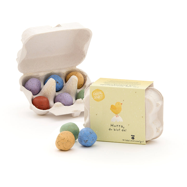Seis bolas de semillas de colores en un paquete de cartón de huevos abierto con un envoltorio de regalo que presenta un pollito amarillo y el texto "¡Hurra, estás aquí!".
