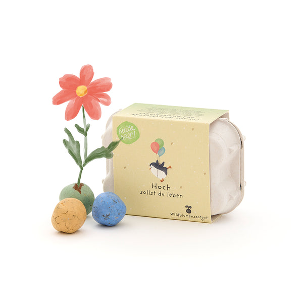 Caja de cartón con ilustración de flores de colores, junto a ella una flor artificial y tres bolas de semillas de colores.