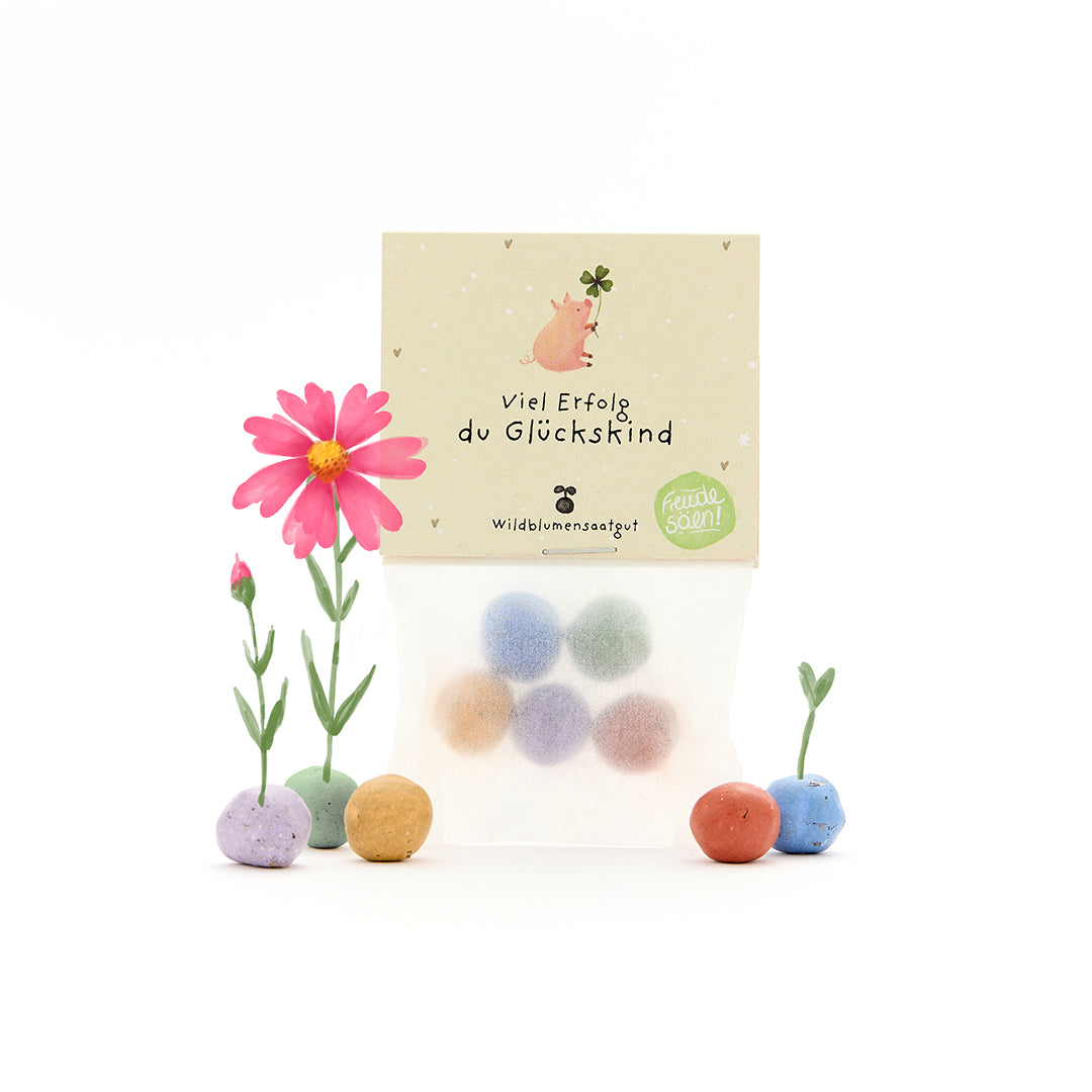 Bolsa con bolas de semillas de colores, flores y una tarjeta con la inscripción "Buena suerte, niño afortunado" en alemán.