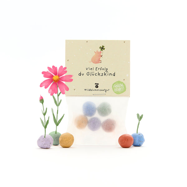 Bolsa con bolas de semillas de colores, flores y una tarjeta con la inscripción "Buena suerte, niño afortunado" en alemán.