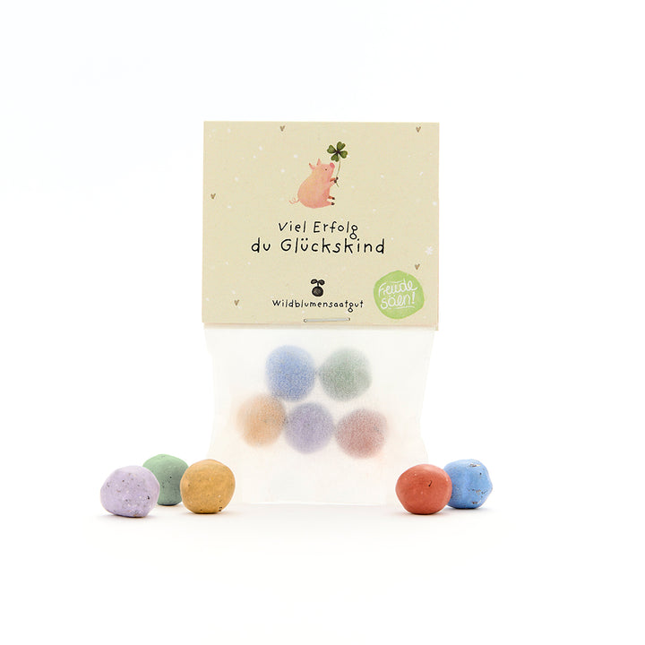 Bolsa con bolas de semillas de flores silvestres de colores y una tarjeta con la inscripción "Buena suerte, niño afortunado" y una ilustración de un cerdo con un trébol de cuatro hojas.