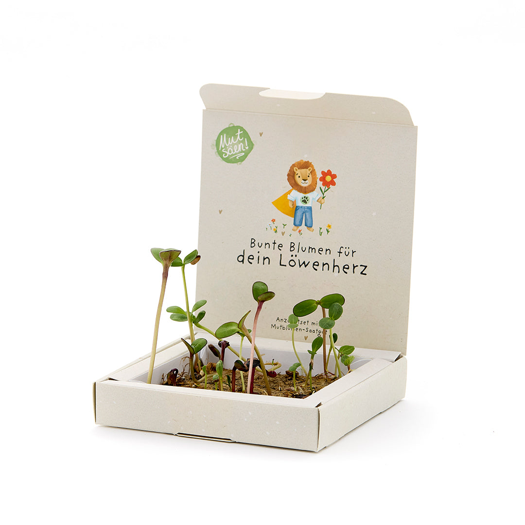 Caja para plantar – Flores valientes