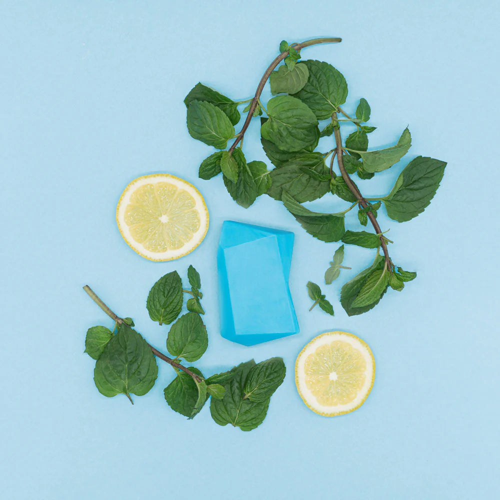 Champú y gel de ducha sólido Maxi menta