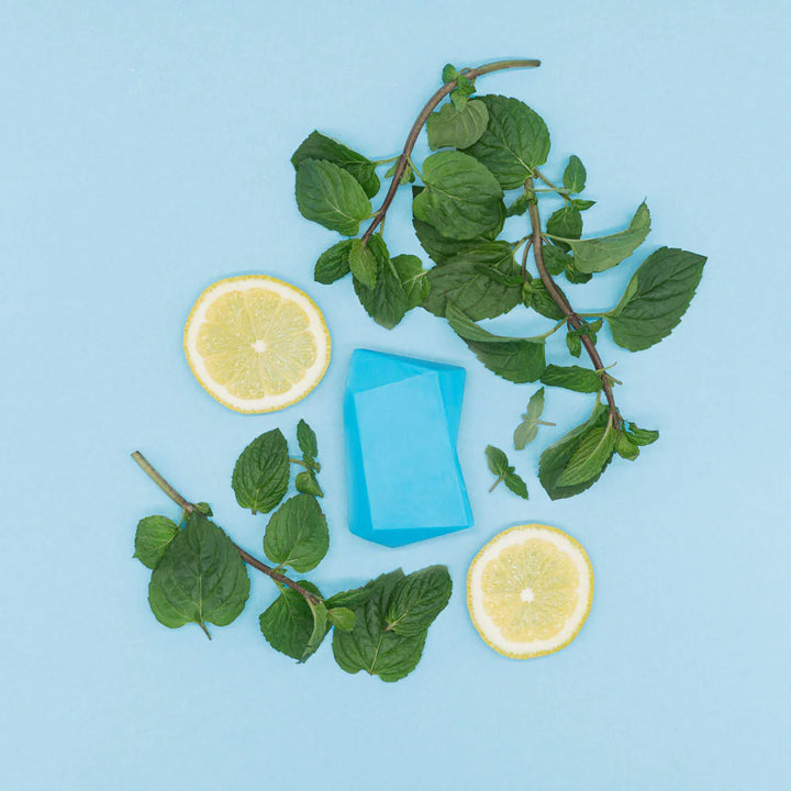 Champú y gel de ducha sólido Maxi menta