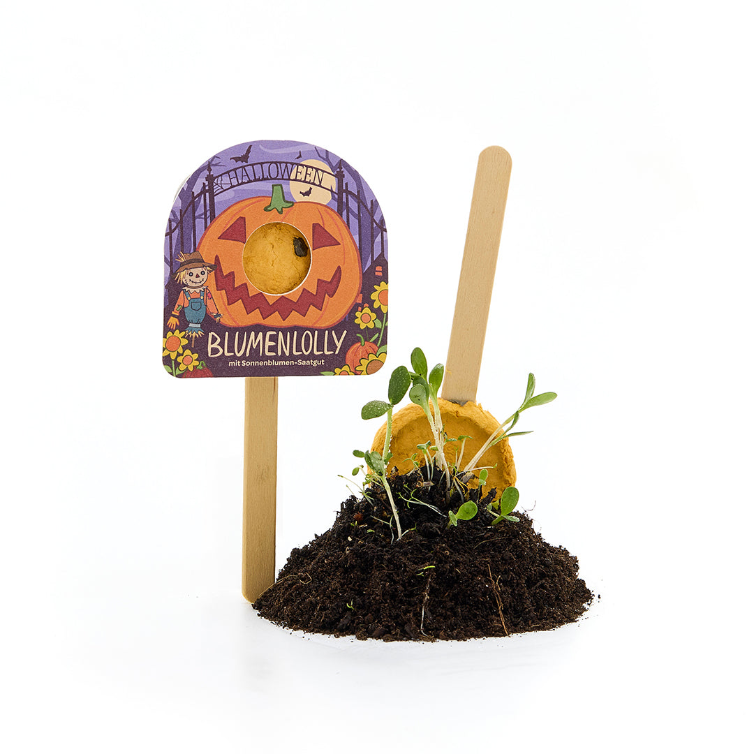 Halloween - Paleta de flores - Girasol
