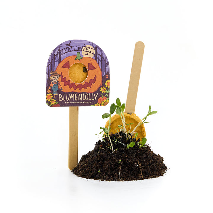 Halloween - Paleta de flores - Girasol