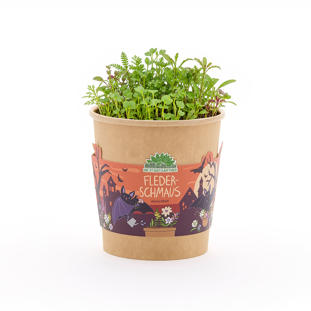 Festín de murciélagos - Vaso de Halloween