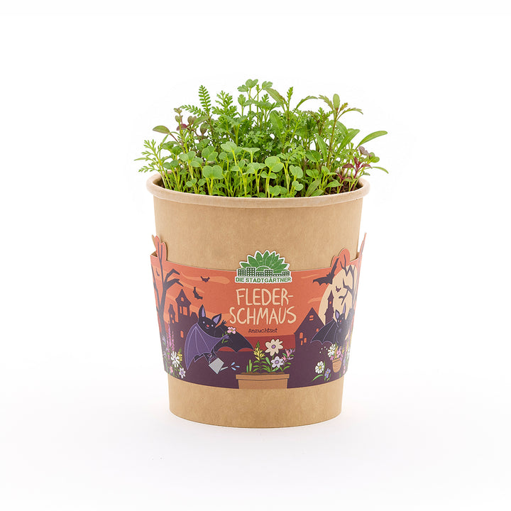 Festín de murciélagos - Vaso de Halloween
