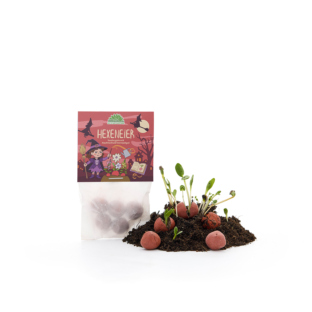 5 canicas de flores en bolsita "Huevos de bruja"