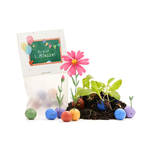 5 canicas de flores en una bolsa para el primer día de clases "Eres de 1er grado"
