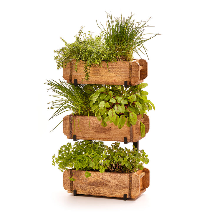 Tres cajas de madera apiladas una encima de otra plantadas con diversas hierbas frescas.