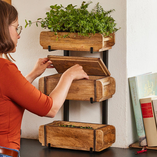 Una mujer coloca cajas de madera con hierbas en un soporte de pared, con libros al lado.