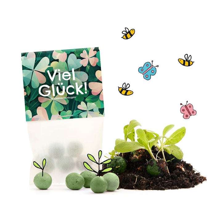 Bolsa con la inscripción "¡Buena suerte!", bolas de semillas verdes, tierra, pequeñas plantas y abejas y mariposas dibujadas.