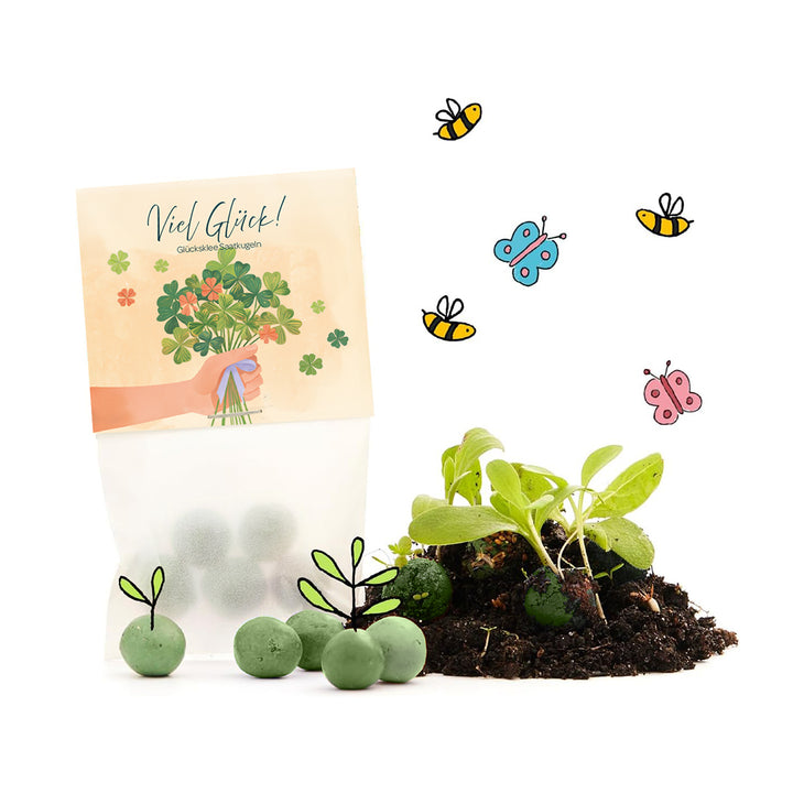 Un paquete de bolas de semillas de trébol de la suerte, junto a plántulas verdes en el suelo, rodeadas de dibujos de abejas y mariposas.