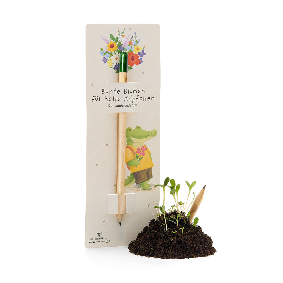 Lápiz que crece con cápsula de semillas - Lápiz floral