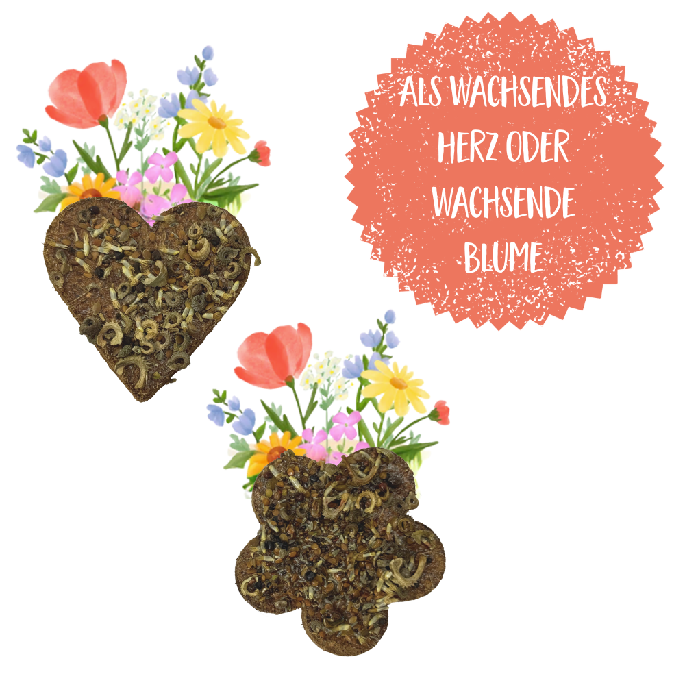 Corazón / Flor en crecimiento