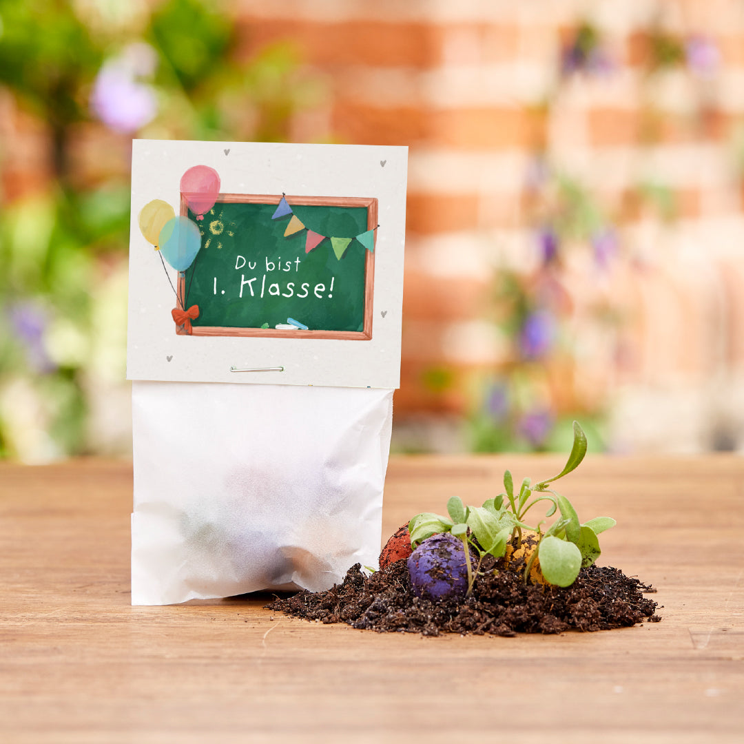 5 canicas de flores en una bolsa para el primer día de clases "Eres de 1er grado"