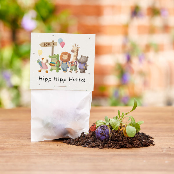 5 canicas de flores en una bolsa para la inscripción escolar "¡Hipp Hipp Hurra!"