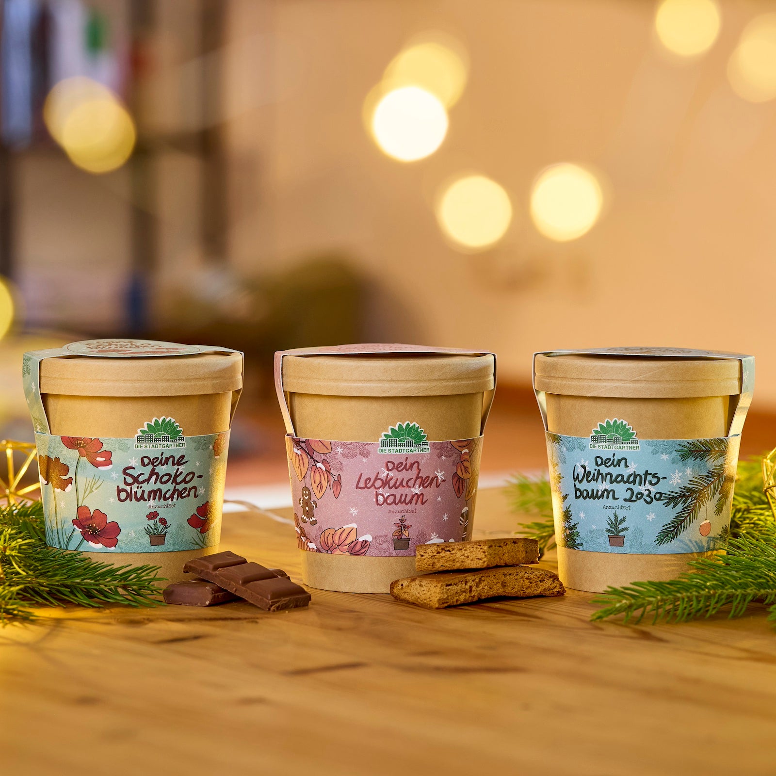 Tres macetas decorativas con las etiquetas “Tu flor de chocolate”, “Tu árbol de jengibre” y “Tu árbol de Navidad 2023” se encuentran sobre una mesa de madera, rodeadas de ramas de abeto, trozos de chocolate y pan de jengibre, con luces cálidas y borrosas de fondo.