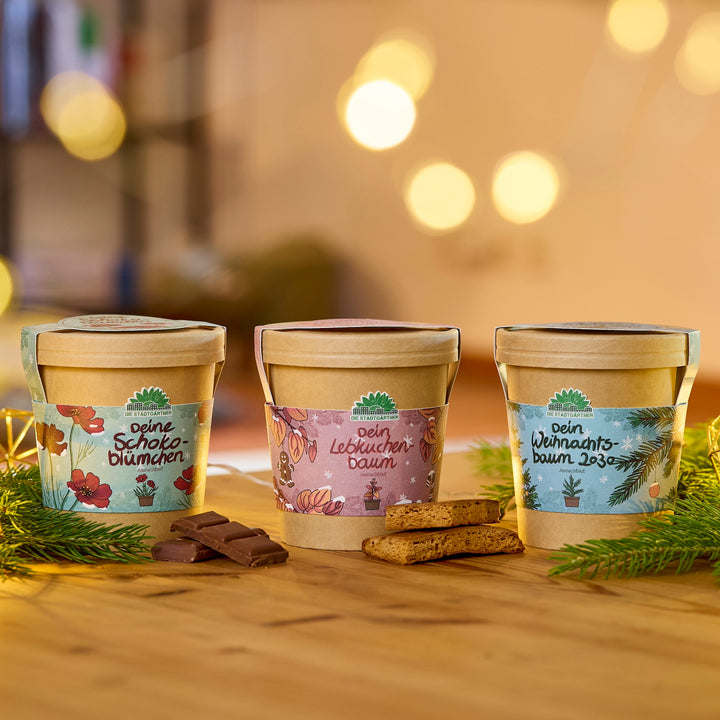 Tres macetas decorativas con las etiquetas “Tu flor de chocolate”, “Tu árbol de jengibre” y “Tu árbol de Navidad 2023” se encuentran sobre una mesa de madera, rodeadas de ramas de abeto, trozos de chocolate y pan de jengibre, con luces cálidas y borrosas de fondo.